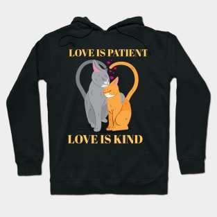 Love is Patient Love is Kind -Cat Couple Hoodie